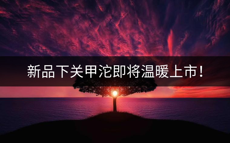 新品下關(guān)甲沱即將溫暖上市！