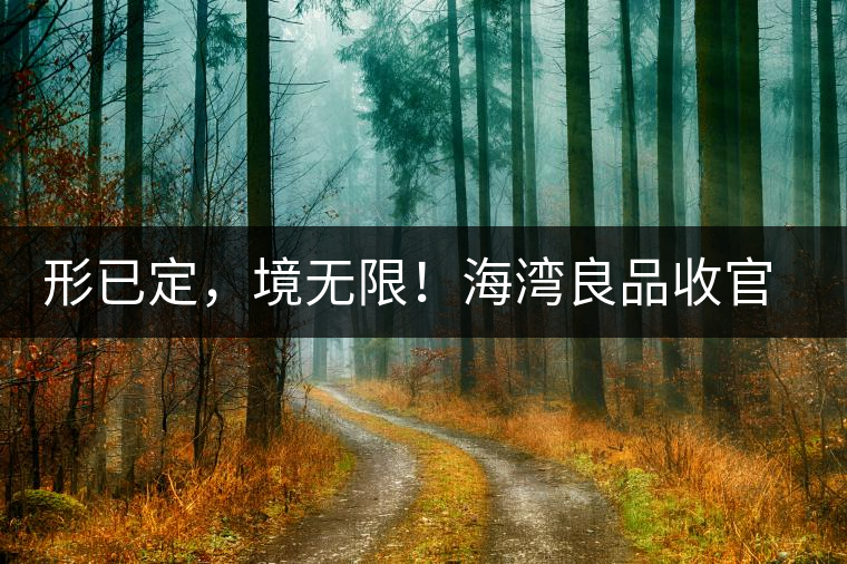 形已定，境無(wú)限！海灣良品收官季『良禪品』