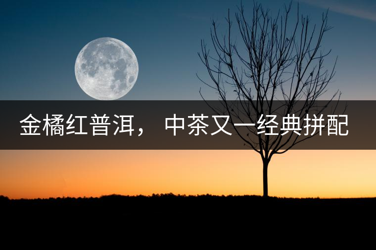 金橘紅普洱， 中茶又一經(jīng)典拼配力作，值得期待！