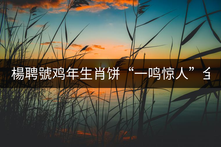 楊聘號(hào)雞年生肖餅“一鳴驚人”全國上市！