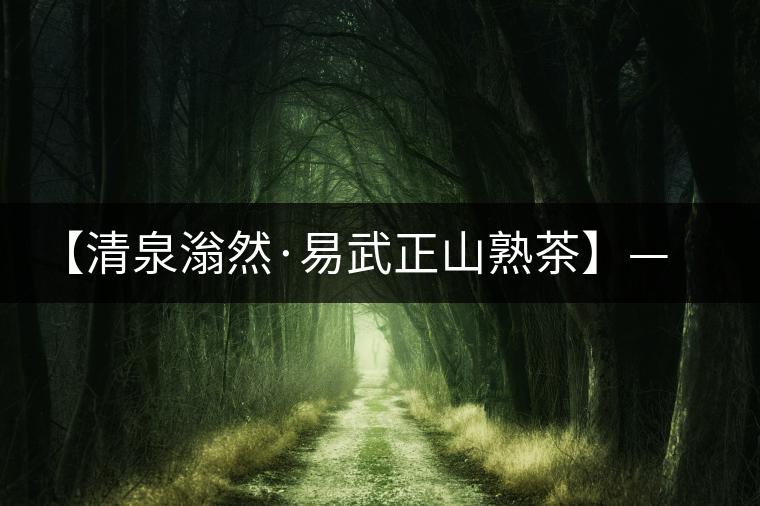 【清泉滃然·易武正山熟茶】——熨帖冬季的寒冷，來(lái)的正是時(shí)候！