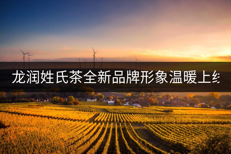龍潤(rùn)姓氏茶全新品牌形象溫暖上線！