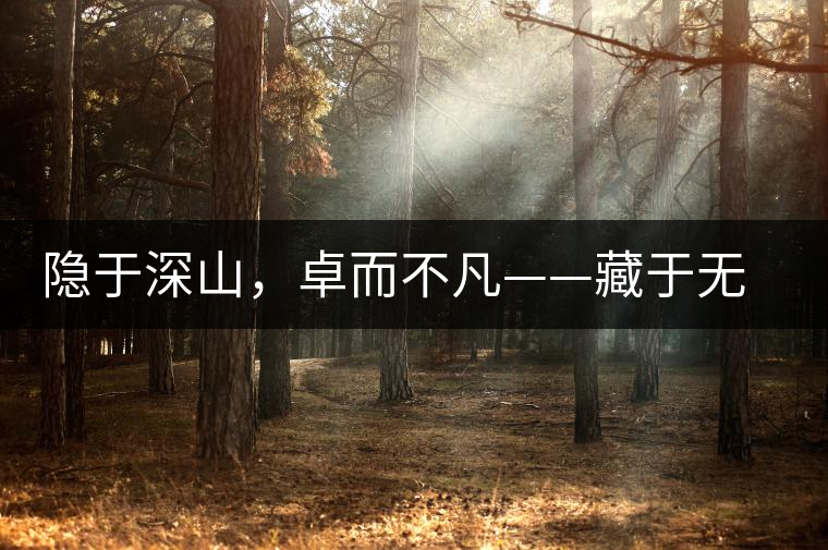 隱于深山，卓而不凡——藏于無量余脈的困鹿貢香