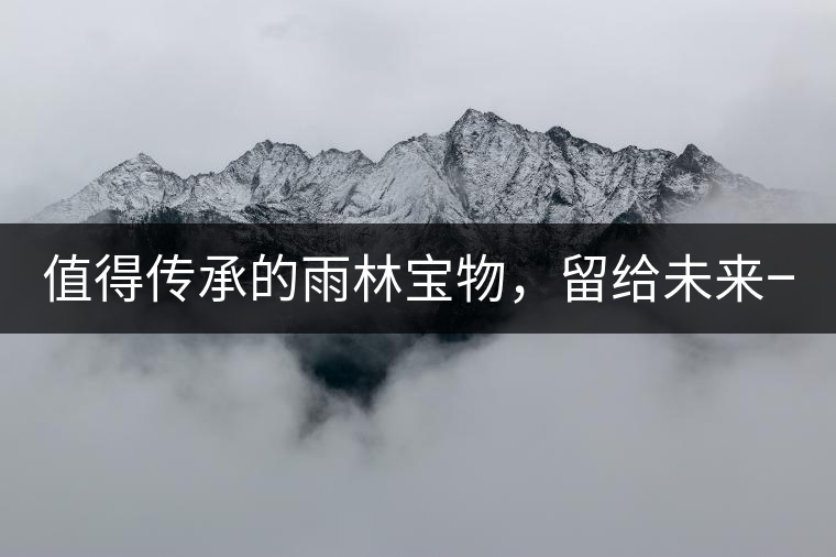 值得傳承的雨林寶物，留給未來一點(diǎn)“回甘”！