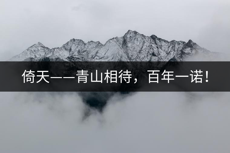 倚天——青山相待，百年一諾！
