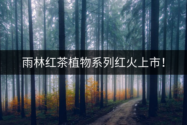 雨林紅茶植物系列紅火上市！