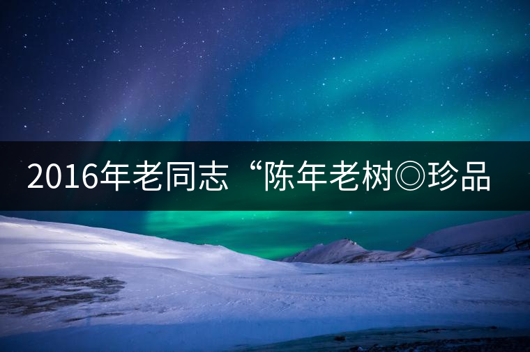 2016年老同志“陳年老樹◎珍品普洱”隆重上市！