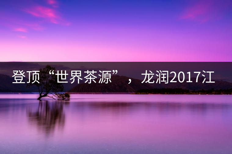 登頂“世界茶源”，龍潤2017江城茶上市啦！