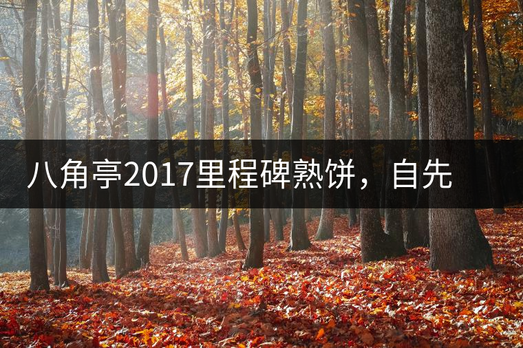 八角亭2017里程碑熟餅，自先發(fā)酵而后愛(ài)人