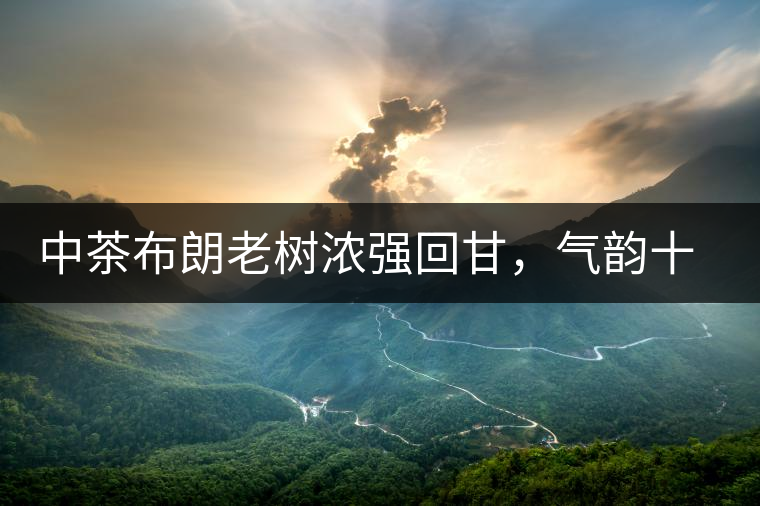 中茶布朗老樹濃強(qiáng)回甘，氣韻十足