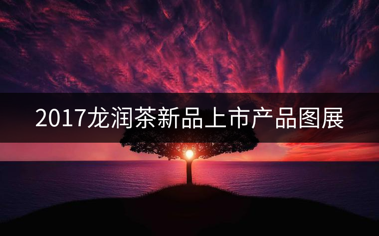 2017龍潤茶新品上市產品圖展 2017龍潤茶新品上市產品圖展