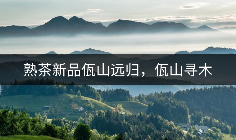 熟茶新品佤山遠(yuǎn)歸，佤山尋木