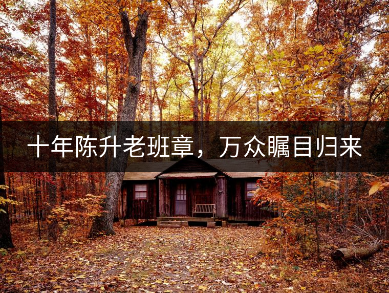 十年陳升老班章，萬眾矚目歸來