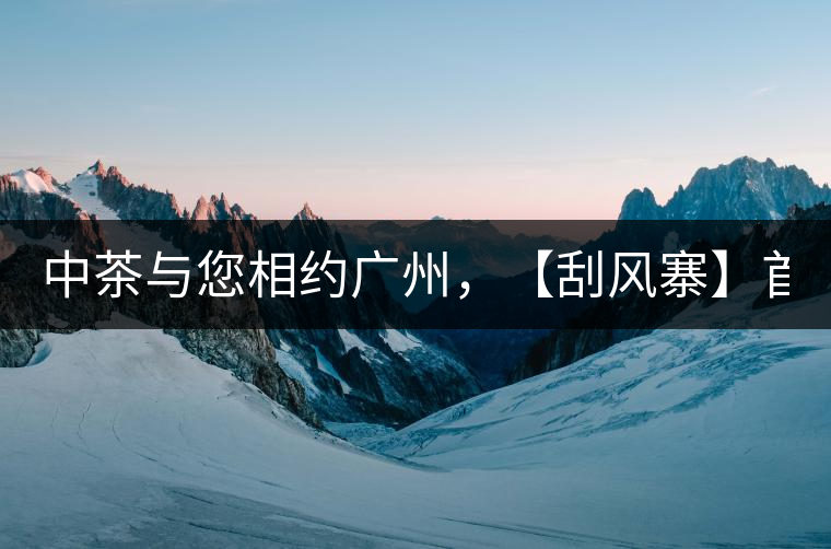 中茶與您相約廣州，【刮風寨】首次亮相！