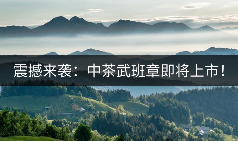 震撼來襲：中茶武班章即將上市！