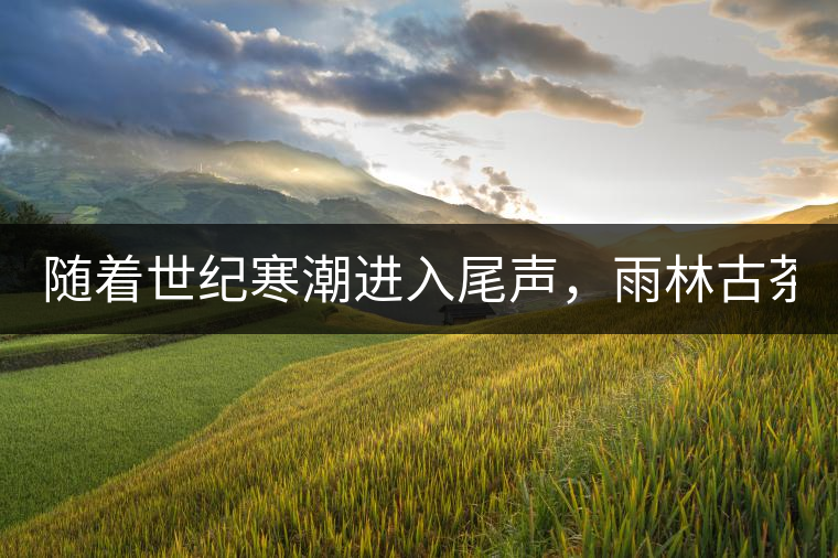 隨著世紀寒潮進入尾聲，雨林古茶坊