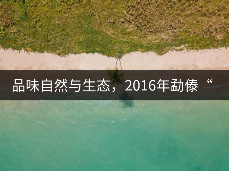 品味自然與生態(tài)，2016年勐傣“大雪山古樹茶”