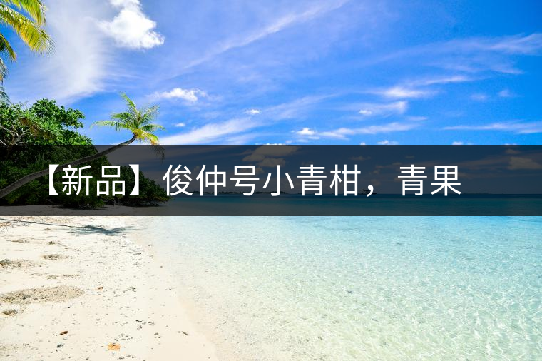 【新品】俊仲號小青柑，青果來傾城