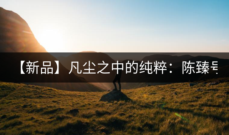 【新品】凡塵之中的純粹：陳臻號(hào)2016年精品青餅即將上市！