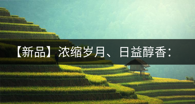 【新品】濃縮歲月、日益醇香：陳臻號陳品熟餅即將上市！