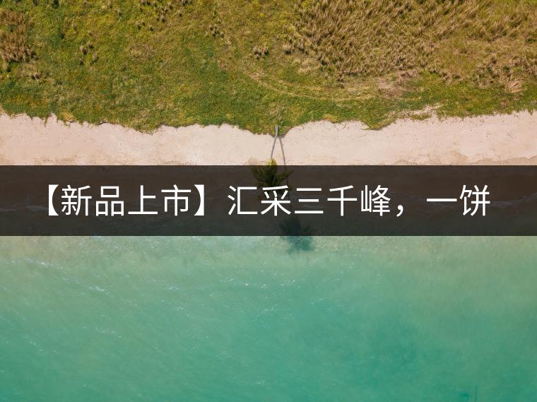 【新品上市】匯采三千峰，一餅群山鑄——群峰之峻！