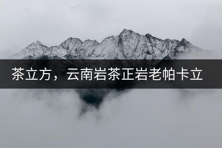 茶立方，云南巖茶正巖老帕卡立方磚今日芳香出爐
