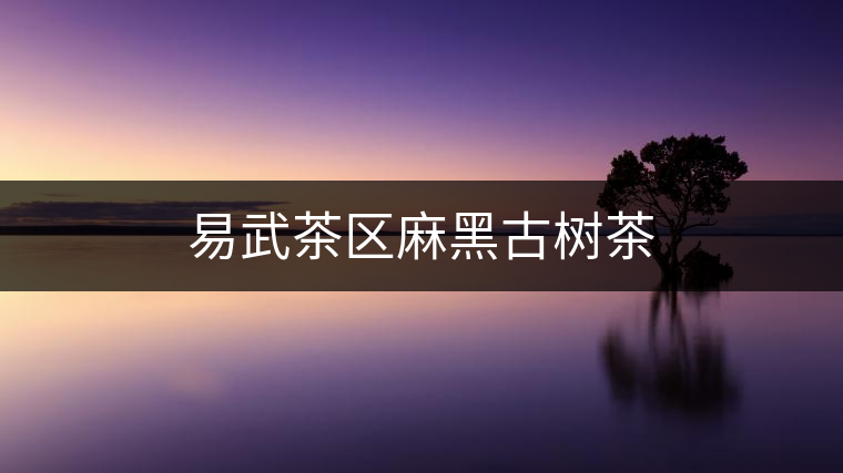 易武茶區(qū)麻黑古樹茶