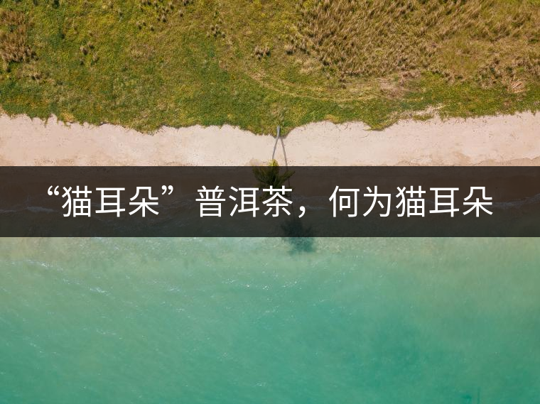 “貓耳朵”普洱茶，何為貓耳朵？