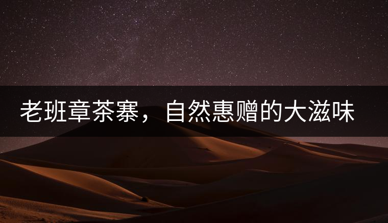 老班章茶寨，自然惠贈(zèng)的大滋味，大滿足