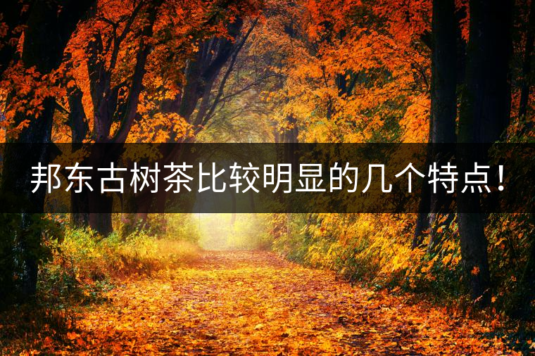 邦東古樹茶比較明顯的幾個(gè)特點(diǎn)！