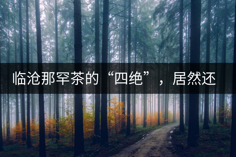 臨滄那罕茶的“四絕”，居然還沒說到它的品質(zhì)