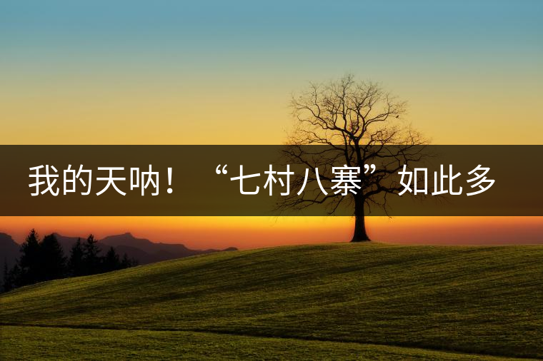 我的天吶！“七村八寨”如此多的易武茶，品質(zhì)特色如何分辨？