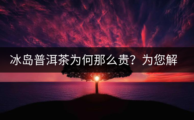 冰島普洱茶為何那么貴？為您解析其中的原由