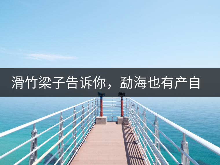 滑竹梁子告訴你，勐海也有產(chǎn)自國有林里的好茶！