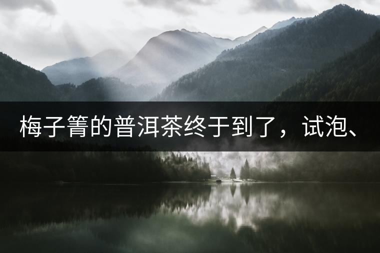 梅子箐的普洱茶終于到了，試泡、、、