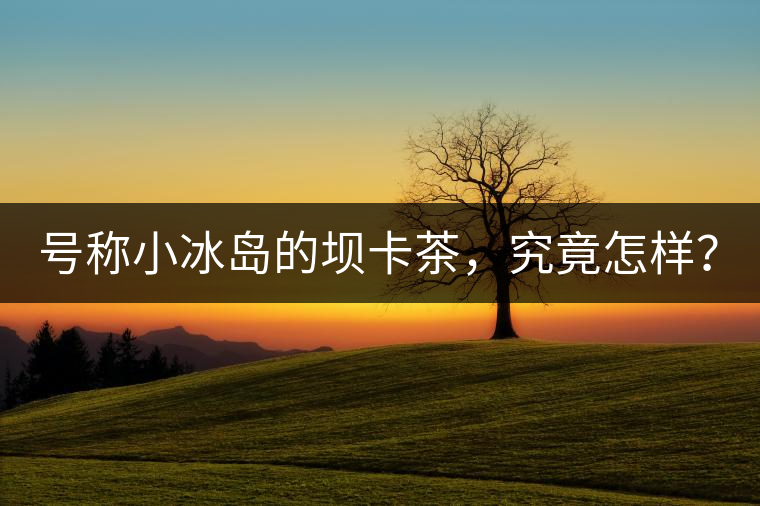 號(hào)稱小冰島的壩卡茶，究竟怎樣？