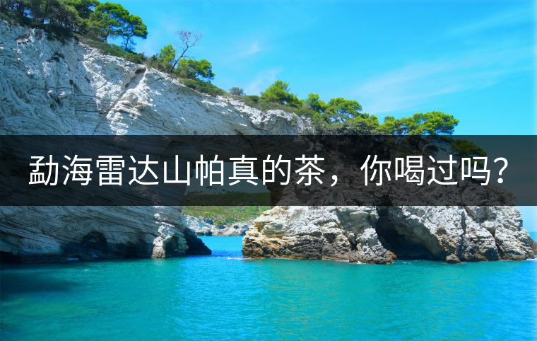 勐海雷達山帕真的茶，你喝過嗎？