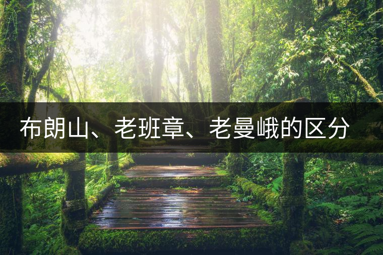 布朗山、老班章、老曼峨的區(qū)分和鑒別