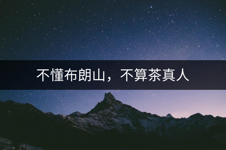 不懂布朗山，不算茶真人