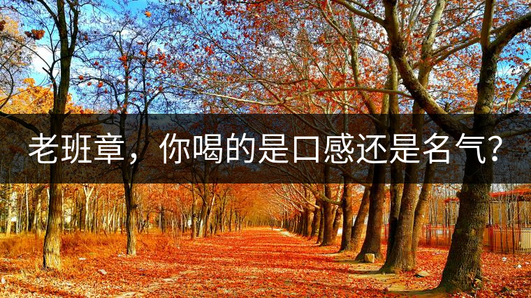 老班章，你喝的是口感還是名氣？