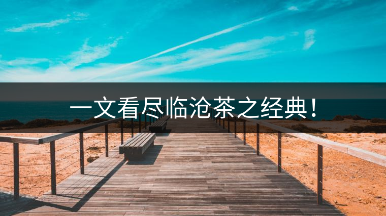 一文看盡臨滄茶之經(jīng)典！