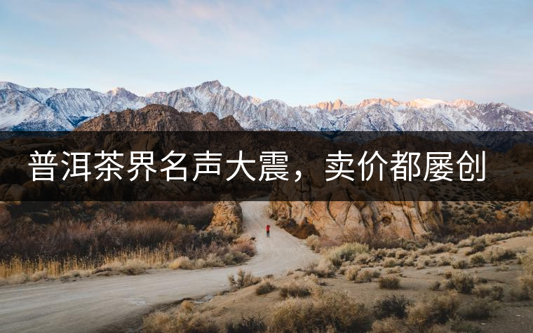 普洱茶界名聲大震，賣價(jià)都屢創(chuàng)新高竟然是它
