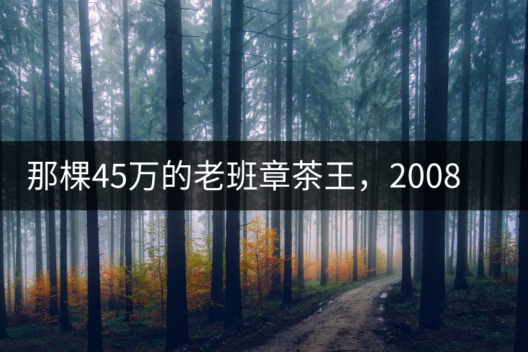 那棵45萬的老班章茶王，2008年是什么樣子的？