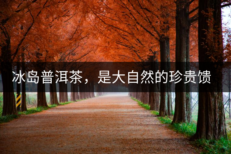 冰島普洱茶，是大自然的珍貴饋贈(zèng)