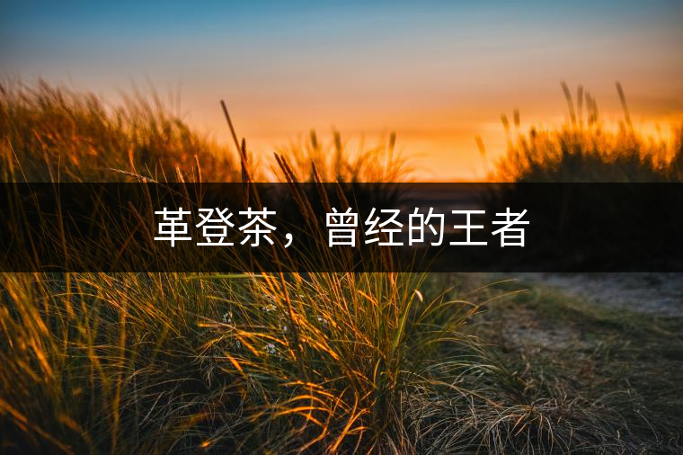 革登茶，曾經(jīng)的王者