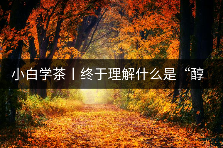 小白學(xué)茶丨終于理解什么是“醇厚、耐泡，回甘”了