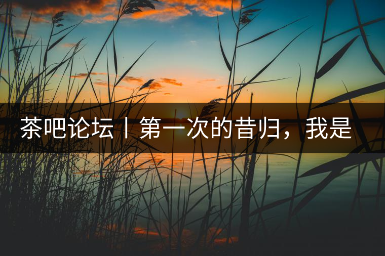 茶吧論壇丨第一次的昔歸，我是這樣喝到的