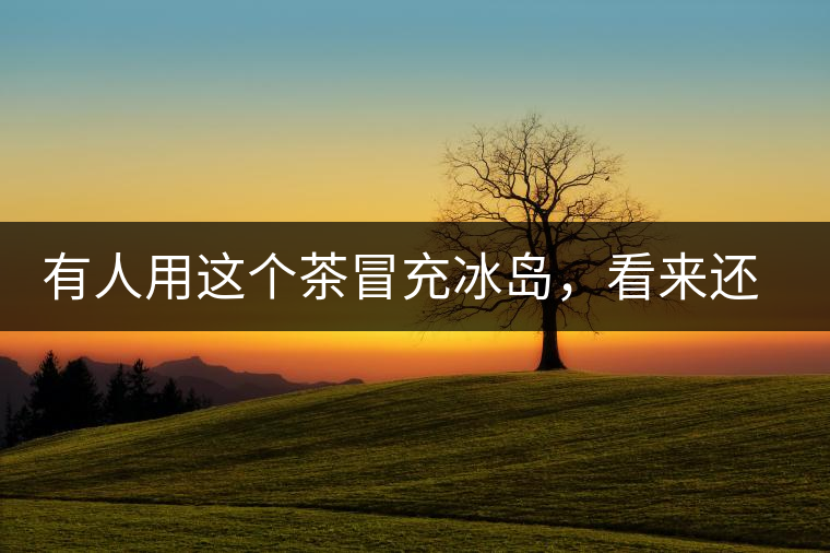 有人用這個(gè)茶冒充冰島，看來(lái)還是有幾分道理