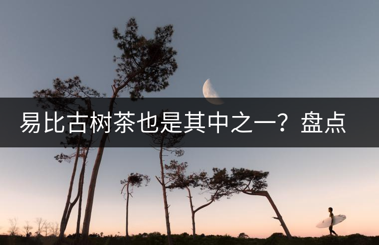 易比古樹(shù)茶也是其中之一？盤點(diǎn)當(dāng)下易武最火的十大古樹(shù)茶！