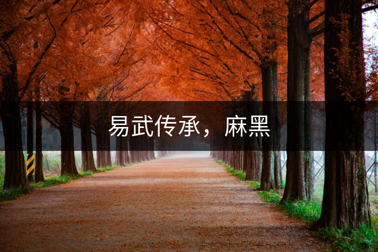 易武傳承，麻黑